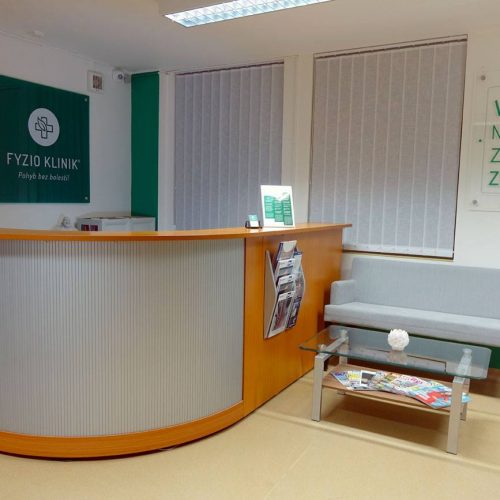 Realizácia fyzioklinik (5)